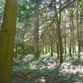 Magyarország Történeti Kertjei Kiállítás, Alcsútdoboz - 