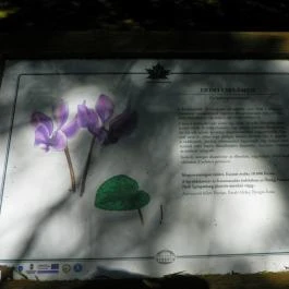 Magyarország Történeti Kertjei Kiállítás, Alcsútdoboz - 