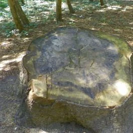 Magyarország Történeti Kertjei Kiállítás, Alcsútdoboz - 