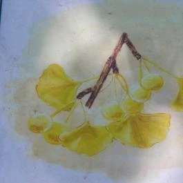 Magyarország Történeti Kertjei Kiállítás, Alcsútdoboz - 