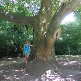 Magyarország Történeti Kertjei Kiállítás, Alcsútdoboz - 