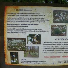 Magyarország Történeti Kertjei Kiállítás, Alcsútdoboz - 