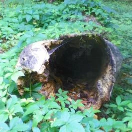 Magyarország Történeti Kertjei Kiállítás, Alcsútdoboz - 