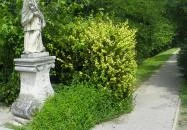 Mezítlábas Park Tabajd