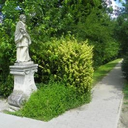 Mezítlábas Park Tabajd - Egyéb