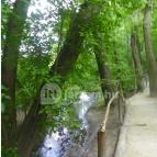 Mezítlábas Park Tabajd - 