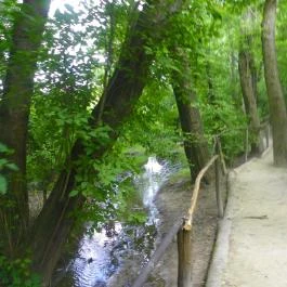Mezítlábas Park Tabajd - Egyéb