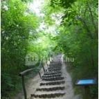 Mezítlábas Park Tabajd - 