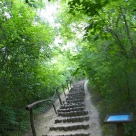 Mezítlábas Park Tabajd - Egyéb