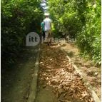 Mezítlábas Park Tabajd - 