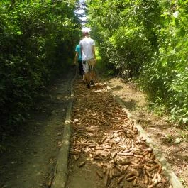 Mezítlábas Park Tabajd - Egyéb