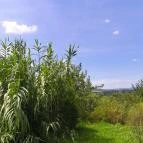 Mezítlábas Park Tabajd - 