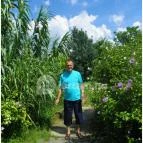 Mezítlábas Park Tabajd - 