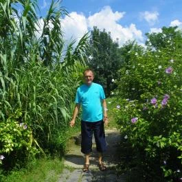 Mezítlábas Park Tabajd - Egyéb