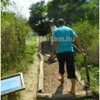 Mezítlábas Park Tabajd - 