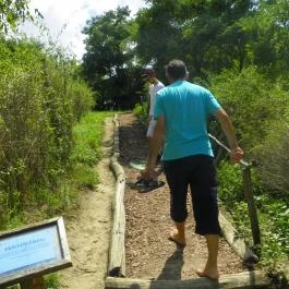 Mezítlábas Park Tabajd - Egyéb