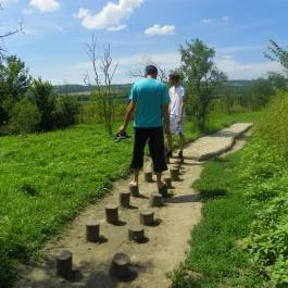 Mezítlábas Park Tabajd - Egyéb