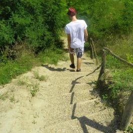 Mezítlábas Park Tabajd - Egyéb