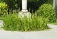 Mezítlábas Park Tabajd