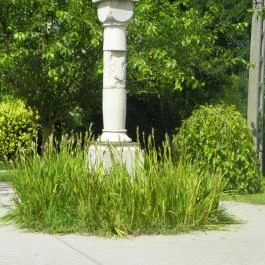 Mezítlábas Park Tabajd - Egyéb