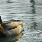 Miskolctapolca Barlangfürdő Miskolctapolca - 