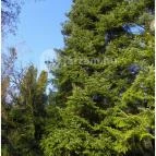 Miskolctapolca Barlangfürdő Miskolctapolca - 