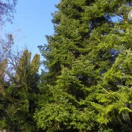 Miskolctapolca Barlangfürdő Miskolctapolca - Egyéb