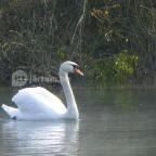 Miskolctapolca Barlangfürdő Miskolctapolca - 