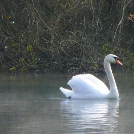 Miskolctapolca Barlangfürdő Miskolctapolca - Egyéb