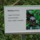 MNM - Vay Ádám Múzeum Vaja - 