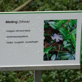 MNM - Vay Ádám Múzeum Vaja - Egyéb