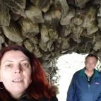 Muhi csata Emlékmű Muhi - 