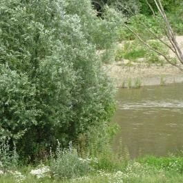 Ónodi vár Ónod - Egyéb