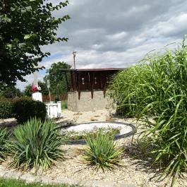 Ónodi vár Ónod - Egyéb