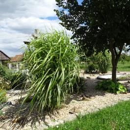 Ónodi vár Ónod - Egyéb