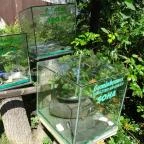 Őrségi Vadászati Kiállítás Magyarszombatfa - 