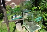 Őrségi Vadászati Kiállítás Magyarszombatfa