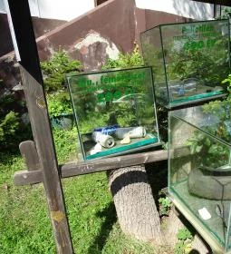 Őrségi Vadászati Kiállítás