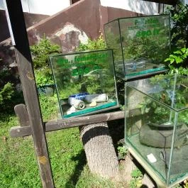 Őrségi Vadászati Kiállítás Magyarszombatfa - Egyéb