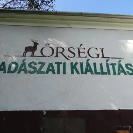Őrségi Vadászati Kiállítás Magyarszombatfa - Egyéb