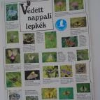 Őrségi Vadászati Kiállítás Magyarszombatfa - 