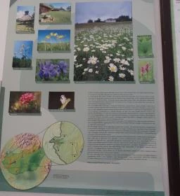 Őrségi Vadászati Kiállítás