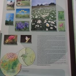 Őrségi Vadászati Kiállítás Magyarszombatfa - Egyéb