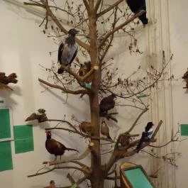 Őrségi Vadászati Kiállítás Magyarszombatfa - Egyéb