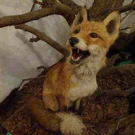 Őrségi Vadászati Kiállítás Magyarszombatfa - Egyéb