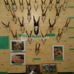 Őrségi Vadászati Kiállítás Magyarszombatfa - 