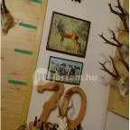 Őrségi Vadászati Kiállítás Magyarszombatfa - 