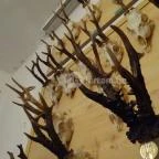 Őrségi Vadászati Kiállítás Magyarszombatfa - 