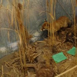 Őrségi Vadászati Kiállítás Magyarszombatfa - Egyéb