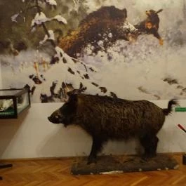 Őrségi Vadászati Kiállítás Magyarszombatfa - Egyéb